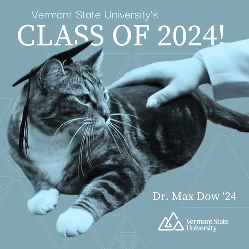 快别睡了！美国小猫念了4年大学后：获得了博士学位