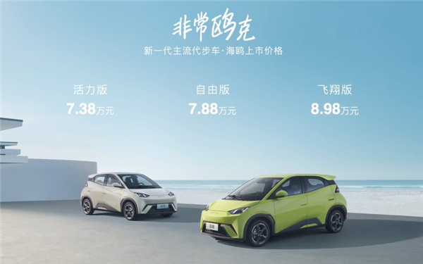7.38万起!比亚迪海鸥正式上市 续航最高可达405km