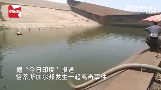 印度官员为找手机抽掉水库210万升水!最后工作没了