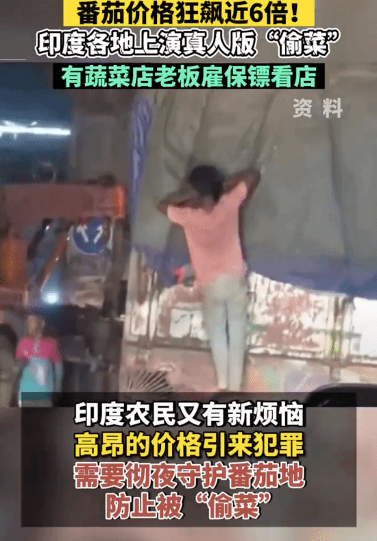 印度番茄价格暴涨6倍：有店老板怕被抢 雇保镖看店