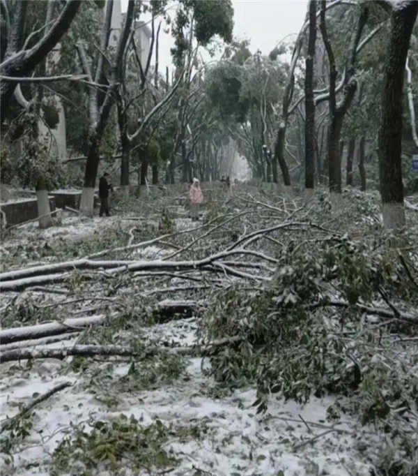 冻雨再现！武汉人醒来发现自行车座结冰：气象部门提醒