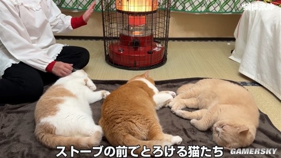 在暖炉前取暖的猫猫：据说“烤熟了”会自己离开
