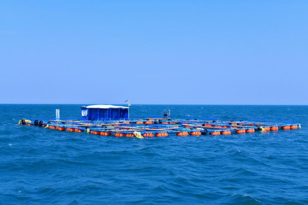 45亿吨储量 核电无限续航:我国最大海水提铀海试平台亮相