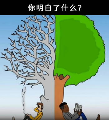 中国人给心灵鸡汤下毒后：看完笑不活了！