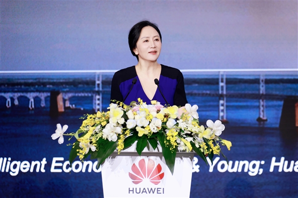 华为实现ERP替换 会给别人用吗？