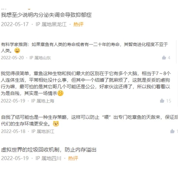 疯狂育儿模式 长达4年半不吃不喝不挪窝:自虐死亡的章鱼图啥?