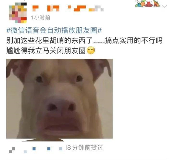 狂吃“内存”!微信为何越用越大?看到最后我淡定了