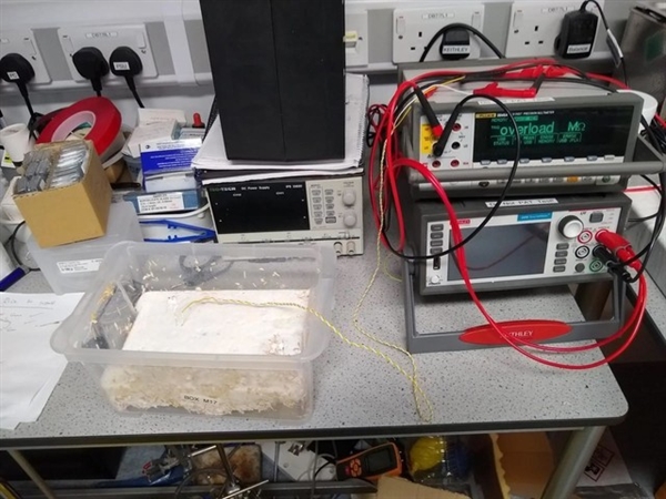 用蘑菇替代CPU和内存!英国科学家成功研发蘑菇PC原型
