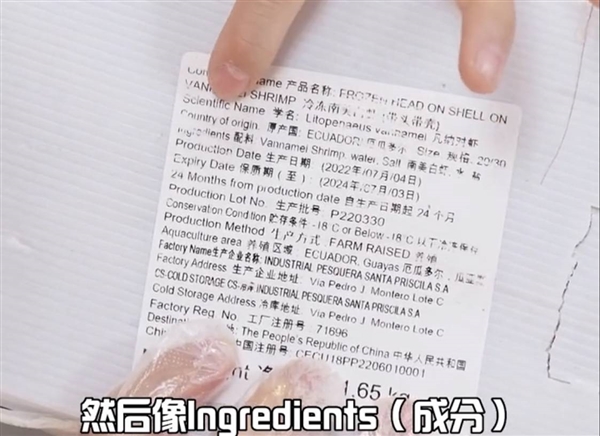 东方甄选 虾之迷雾