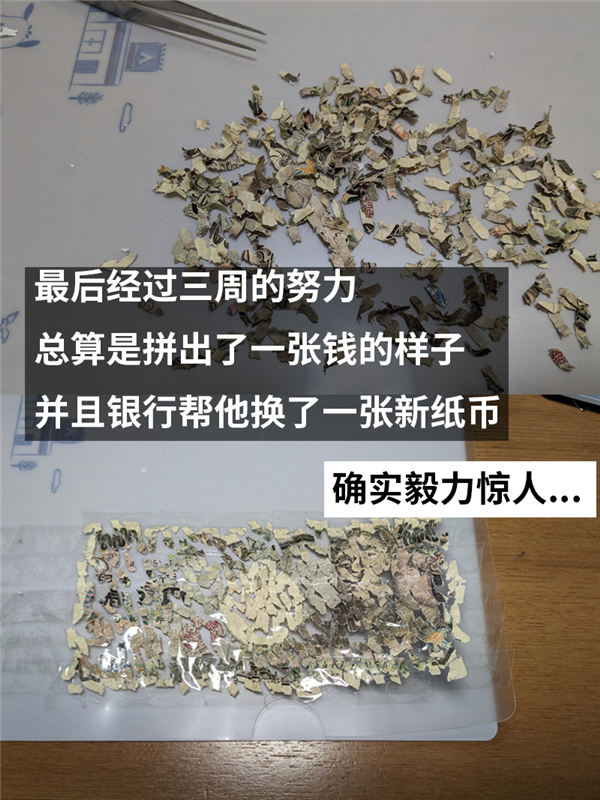 一万日元碎成残渣后：被日本网友硬生生拼了回来！