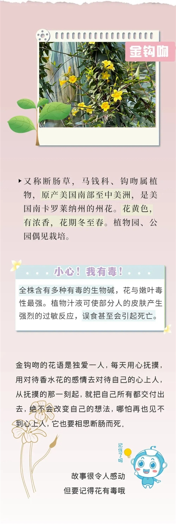 知名女演员最新大片引争议 网友惊呼:这花有毒!