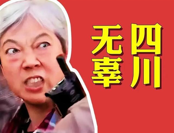 “插队婆孙”被做成恶搞表情包:如此“网暴”是否合适?