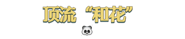 上下五千年 熊猫第一次有了站姐