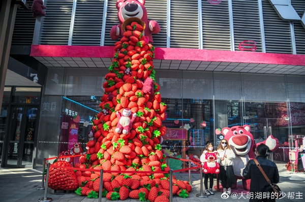 浪漫之极！杭州地铁口等地惊现玫瑰瀑布：情人节鲜花卖到1200元