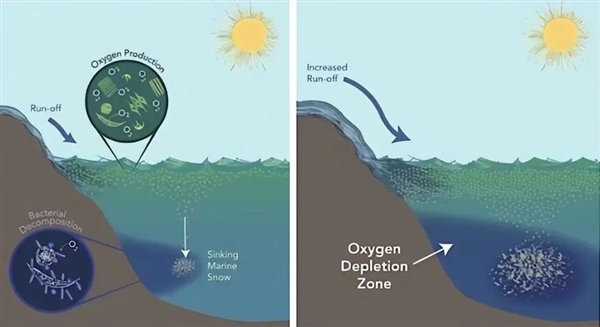 法国潜水员在海底奔跑 竟发现“海滩”:海水咋会被分开?