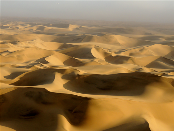 沙漠上的一个个“仙女怪圈”：真是外星人干的吗？