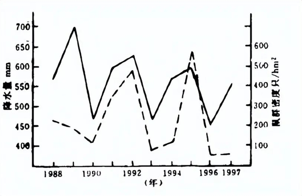 一亩地几百个洞:青藏高原的鼠害为何如此严重?