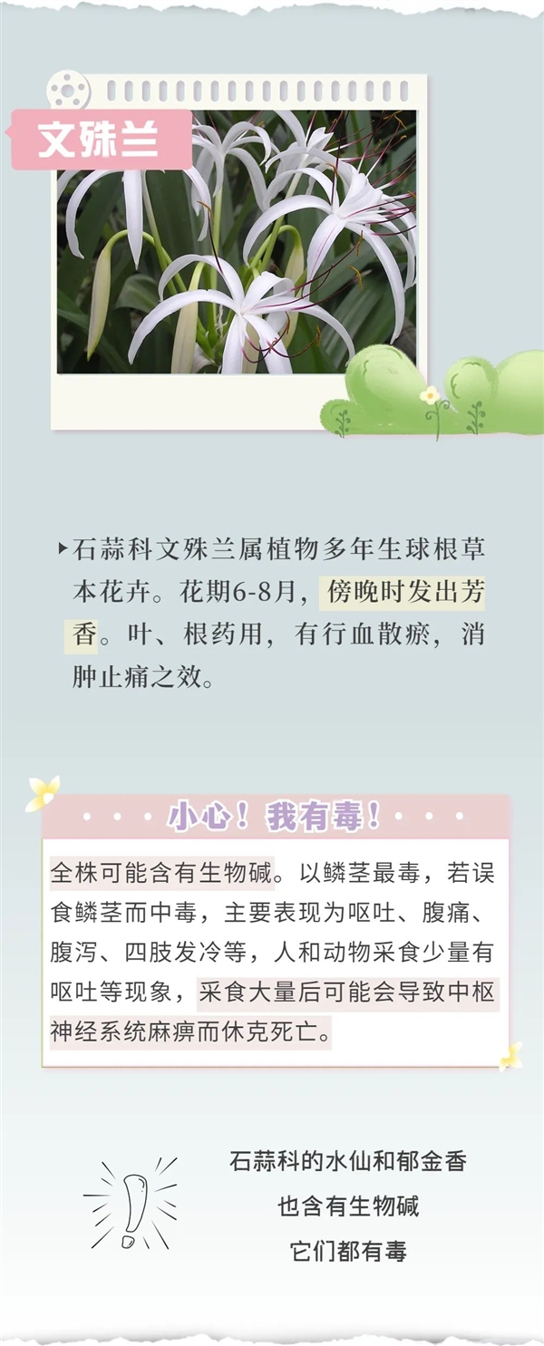 知名女演员最新大片引争议 网友惊呼:这花有毒!