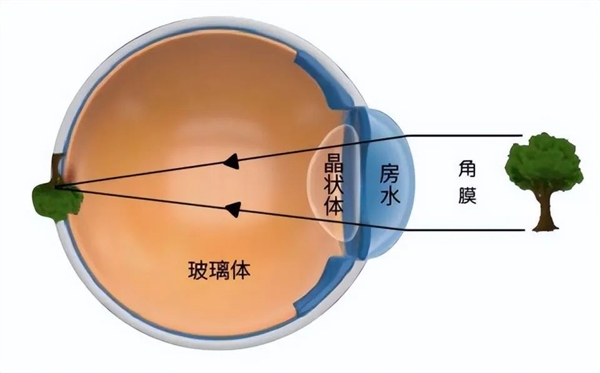 大学教授让助理戴上倒立眼镜：10天后分怪异的事情发生了