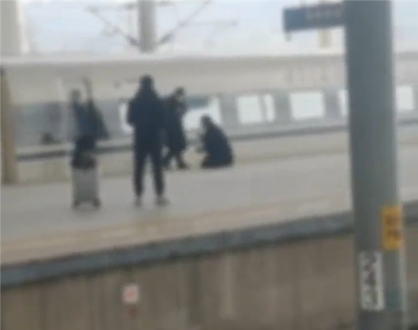 为多抽几口烟 一男子用手阻挡高铁车门关闭:后续车辆均晚点