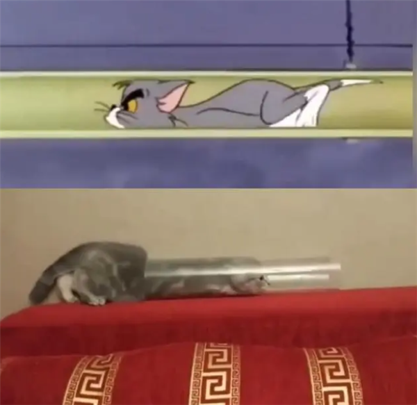 《猫和老鼠》才是永远的神!凭什么能碾压AI作画?
