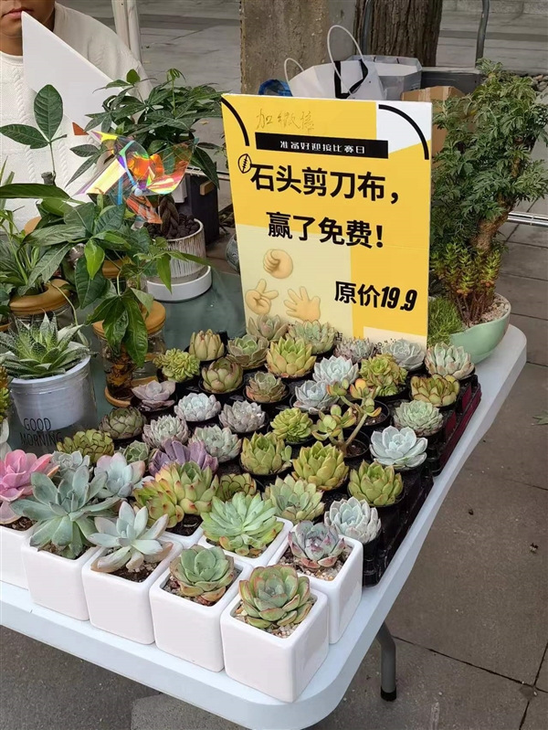 全中国的夜市 是不是都是一个妈生的？