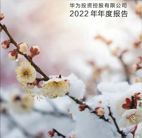 华为利润大跌 这日子过得是有点苦
