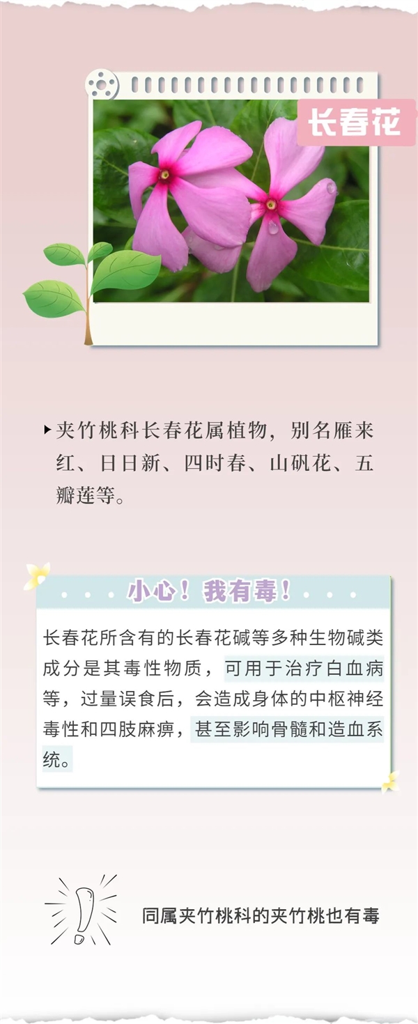 知名女演员最新大片引争议 网友惊呼:这花有毒!