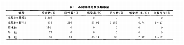 牛蛙能吃！牛蛙不能吃！到底听谁的
