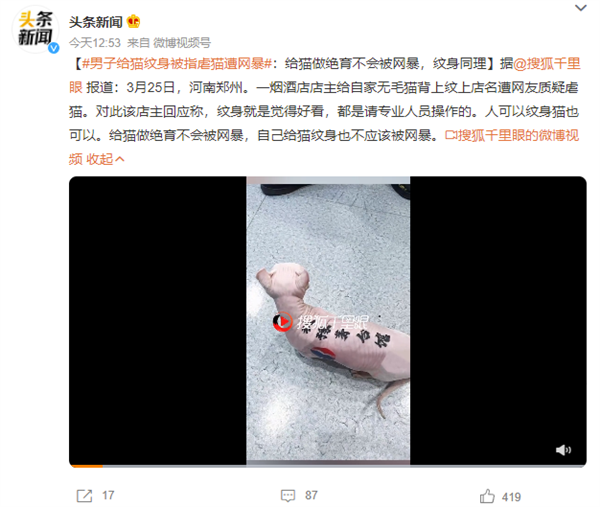 男子给猫纹身被指虐猫遭网暴 回应:人可以猫也可以、请了专业人士