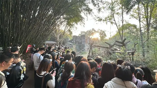 上下五千年 熊猫第一次有了站姐