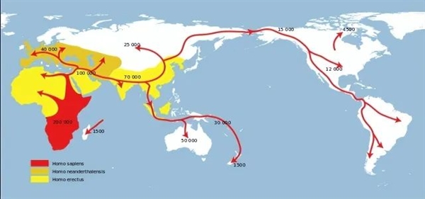 相伴上万年 人为什么还是听不懂狗叫？简单的离谱