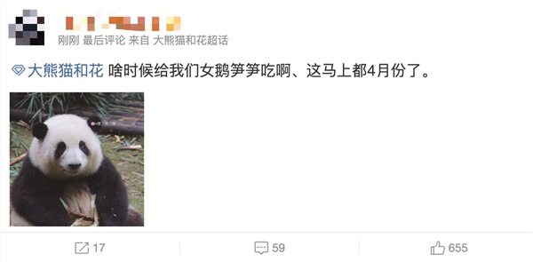 上下五千年 熊猫第一次有了站姐