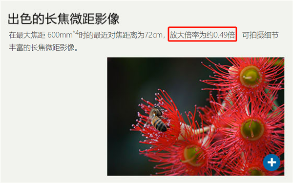 科普:相机镜头的“放大倍率”是什么?