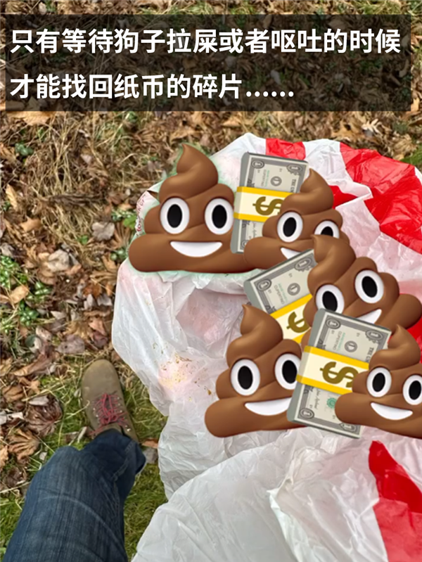 一万日元碎成残渣后：被日本网友硬生生拼了回来！