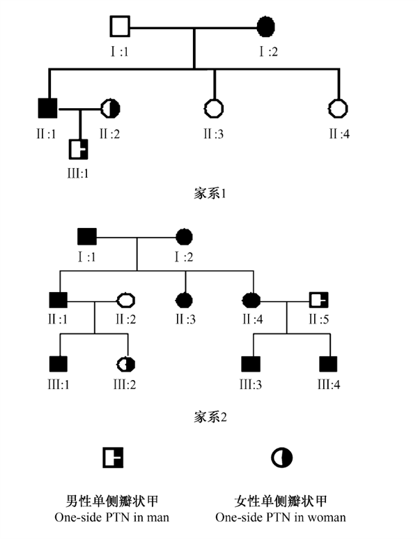 小脚趾指甲分成两瓣的人什么来历？真是山西大槐树移民吗？