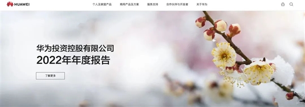 华为利润大跌 这日子过得是有点苦