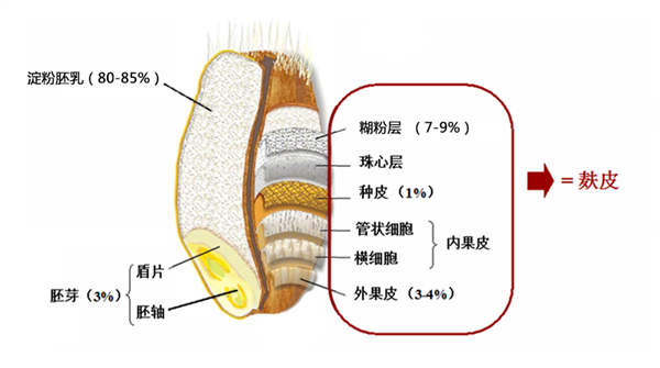 为什么面粉没有以前的香?加了添加剂安全吗?