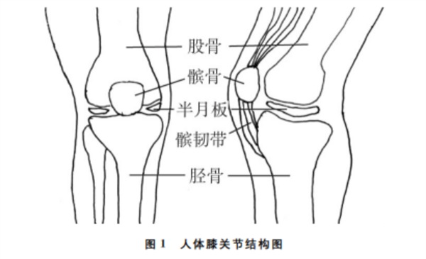 “科目三”刷屏爆火 多人已崴脚！相当惨烈 胆小勿入