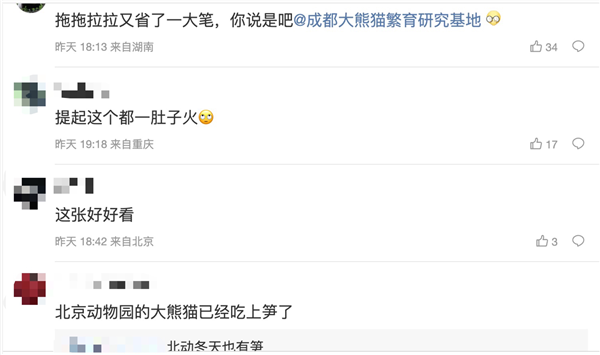 上下五千年 熊猫第一次有了站姐