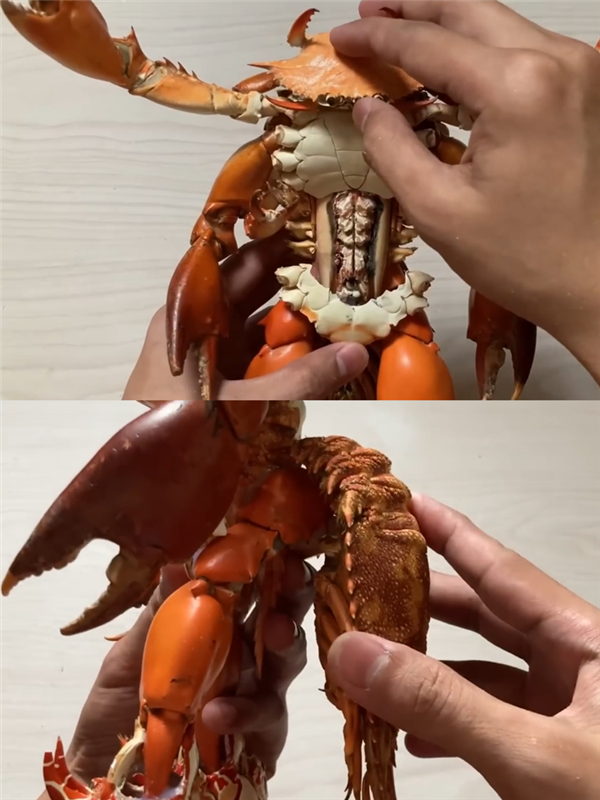 海鲜尸体爆改变异螃蟹人：隔壁小孩吓哭了！