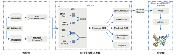 预测超长蛋白质这事 CPU赢了