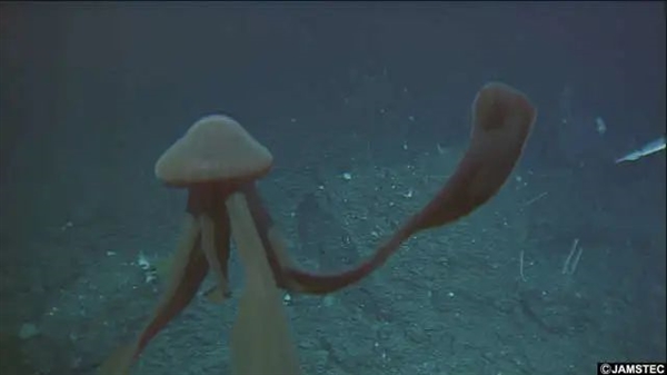 深海