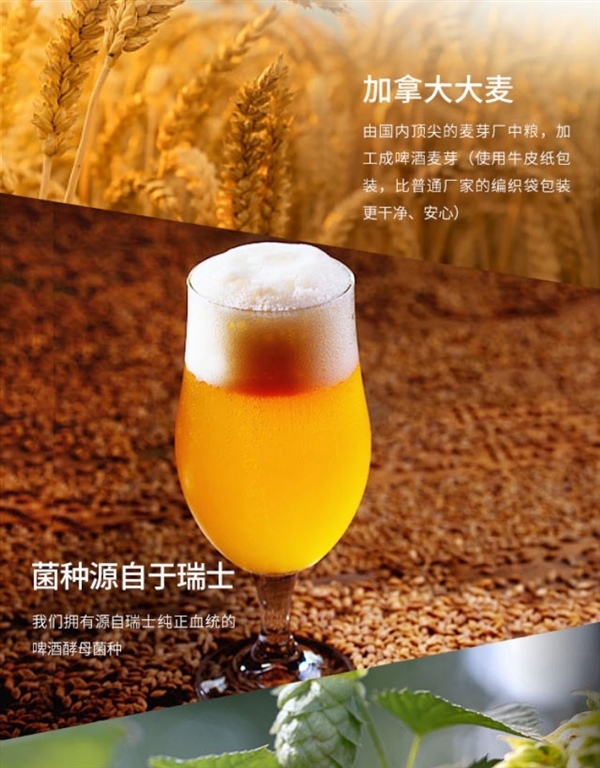 全麦芽 口感回甘:上海力波500ml精酿啤酒2.5元/罐抄底