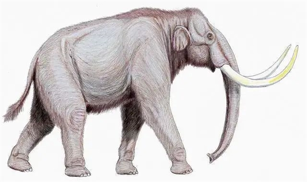 世界首个猛犸象肉丸诞生:人造肉悬赏100万美元 却无人领奖