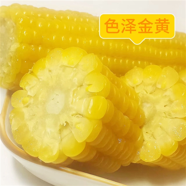 香糯Q弹敲好吃！吉林省农投集团黄糯玉米狂促：券后2元一根