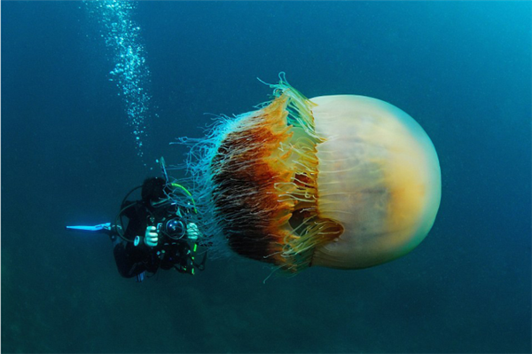 深海