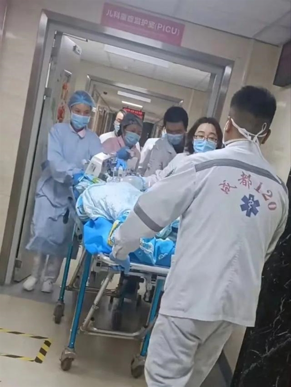 官方通报：2只恶犬撕咬2岁女童 主人被采取刑事措施