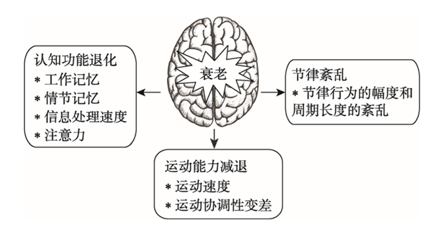 人真的会瞬间变老吗?