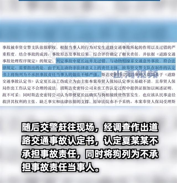 女子下班途中被狗撞伤被判工伤 法院:非本人主要责任